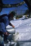 Maple Sugaring 30-20-11126