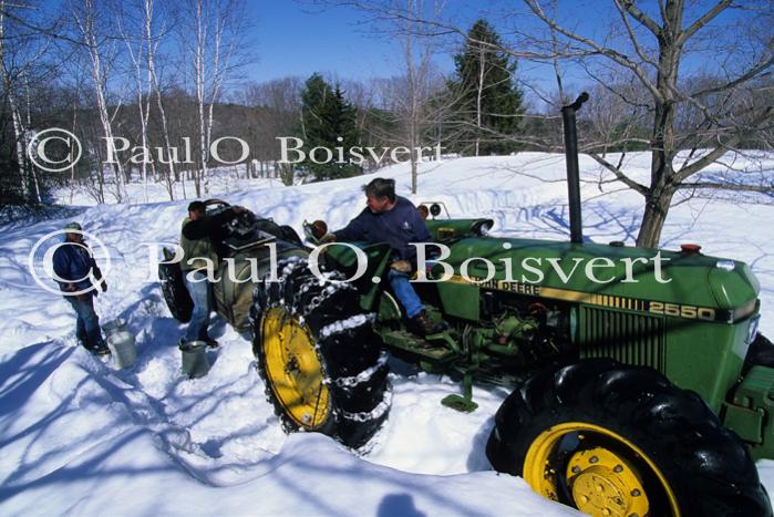 Maple Sugaring 30-20-11130