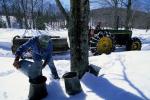 Maple Sugaring 30-20-11157