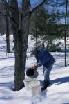 Maple Sugaring 30-20-11186