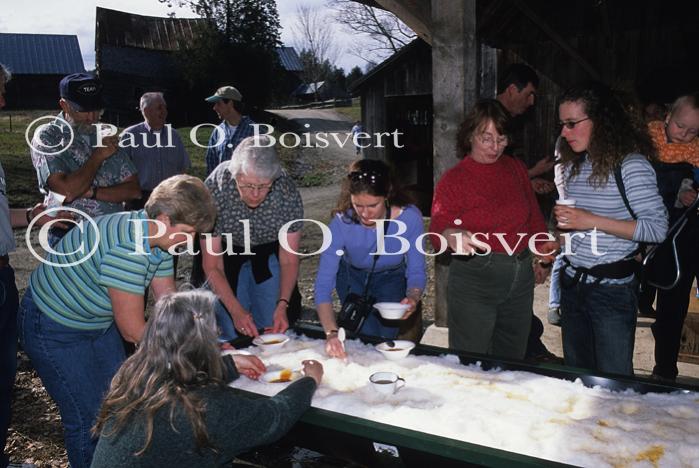 Maple Sugaring 30-20-11517