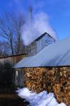 Maple Sugaring 30-20-11710