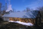 Maple Sugaring 30-20-11742