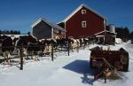 Farm-Winter 30-40-00220