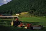 Farm-Summer 30-35-00733