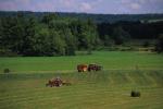 Farm-Summer 30-35-00771