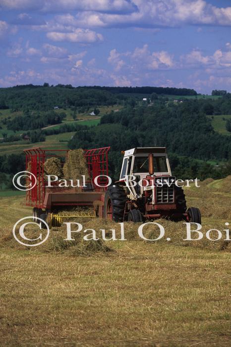 Farm-Summer 30-35-00878