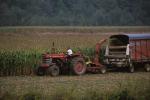 Farm-Summer 30-35-01020