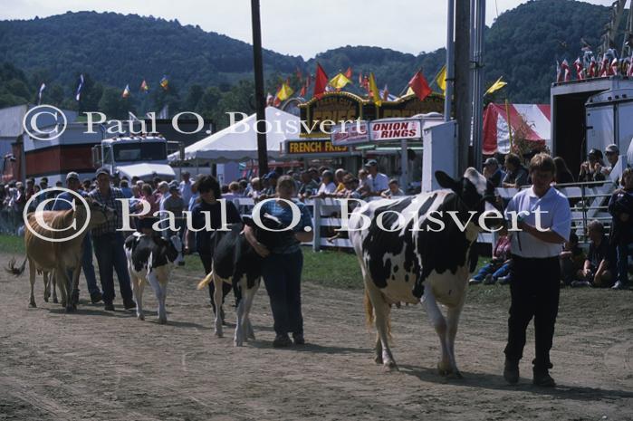 Farm-Summer 30-35-01023