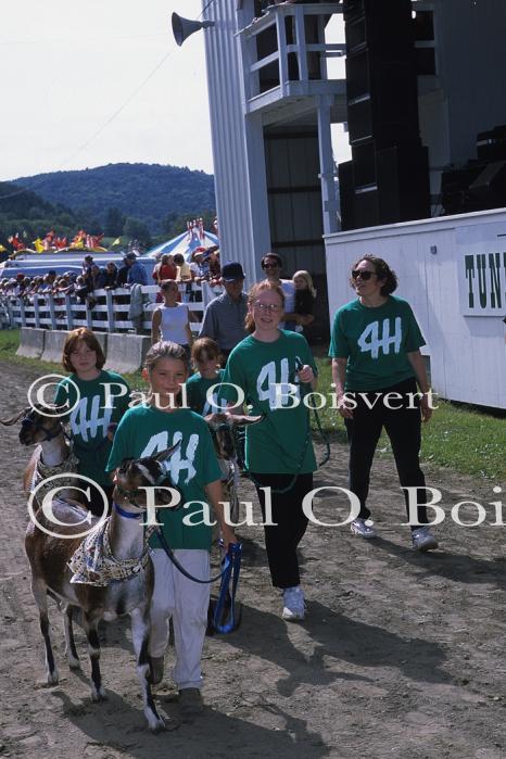 Farm-Summer 30-35-01024