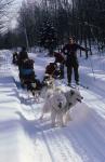 Dogsledding 65-44-00051