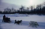 Dogsledding 65-44-00057