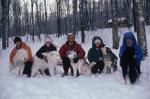 Dogsledding 65-44-00168