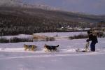 Dogsledding 65-44-00440