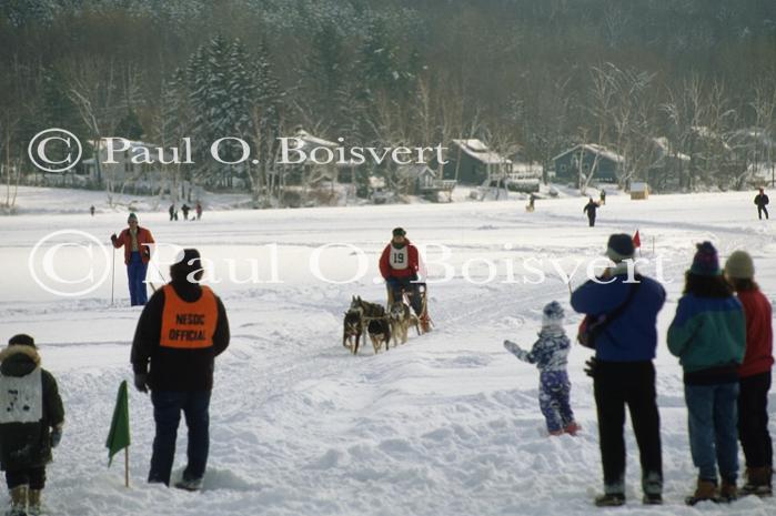 Dogsledding 65-44-00442