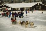 Dogsledding 65-44-00454