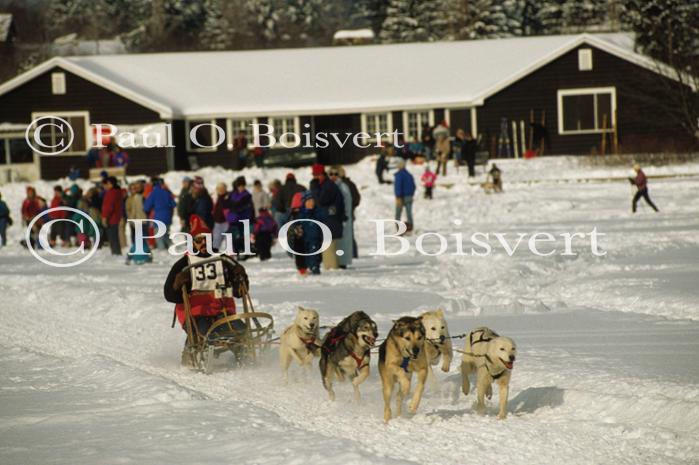 Dogsledding 65-44-00454