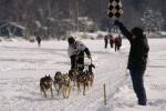 Dogsledding 65-44-00489