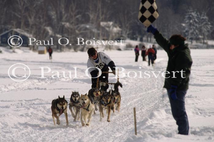 Dogsledding 65-44-00489