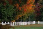 Scenery-Fall 70-05-12341