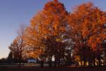 Scenery-Fall 70-05-12936