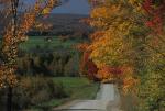 Scenery-Fall 70-05-12994