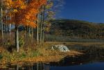 Scenery-Fall 70-05-13097