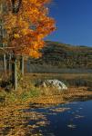 Scenery-Fall 70-05-13103