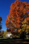 Scenery-Fall 70-05-13125