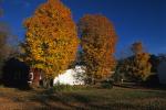 Scenery-Fall 70-05-13337