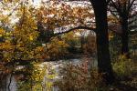 Scenery-Fall 70-05-13385