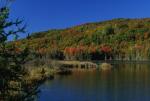 Scenery-Fall 70-05-13503