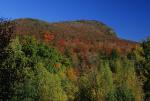 Scenery-Fall 70-05-13556