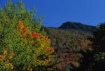 Scenery-Fall 70-05-13575