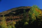 Scenery-Fall 70-05-13576