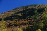 Scenery-Fall 70-05-13581