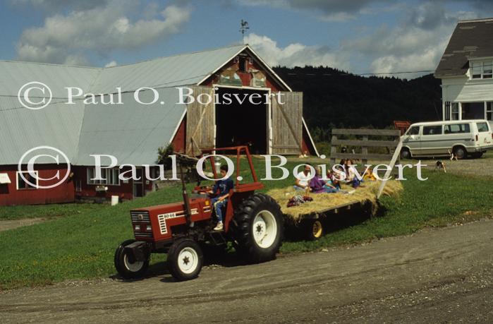 Farm-Summer 27-16-00153