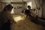 Cheese Making 30-08-00034