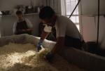 Cheese Making 30-08-00057