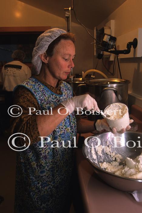 Cheese Making 30-08-00312