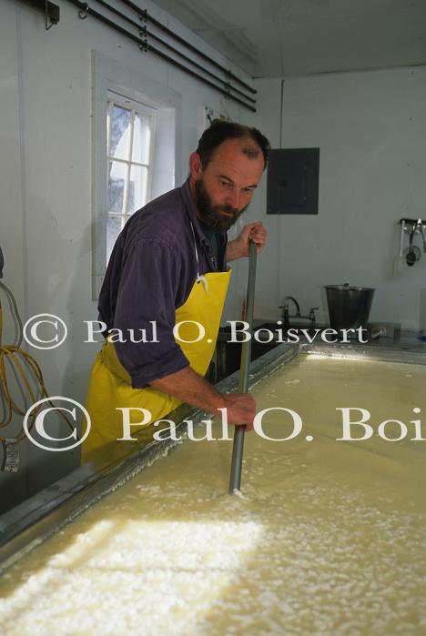 Cheese Making 30-08-00390