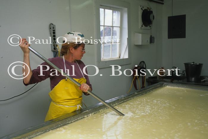 Cheese Making 30-08-00392