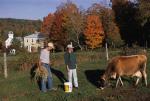 Cheese Making 30-08-00599