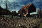 Farm-Fall 30-10-00072