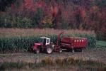 Farm-Fall 30-10-00233