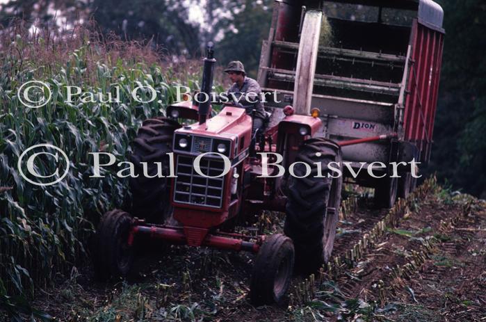 Farm-Fall 30-10-00249