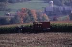 Farm-Fall 30-10-00264