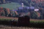 Farm-Fall 30-10-00266