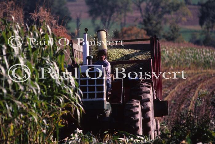 Farm-Fall 30-10-00289