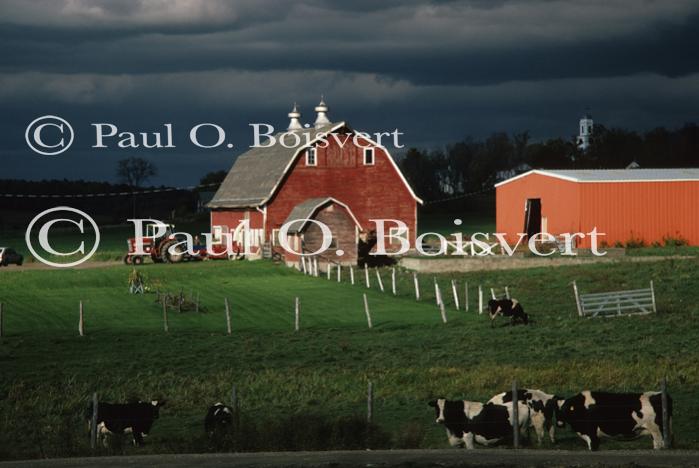 Farm-Fall 30-10-00615